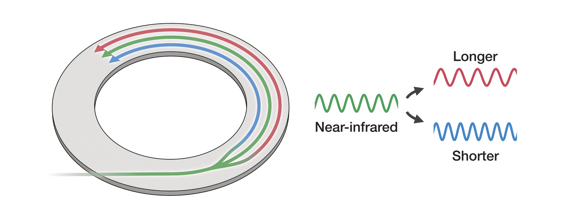 A green line branches into a blue, a green and a red line inside of a flat ring.