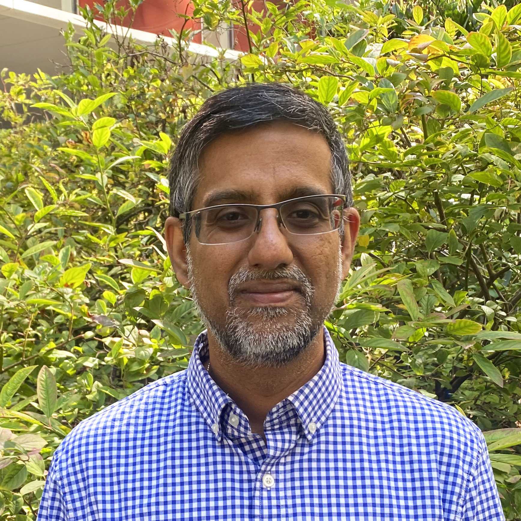 a photo of a man wearing a blue and white checked shirt in front of greenery