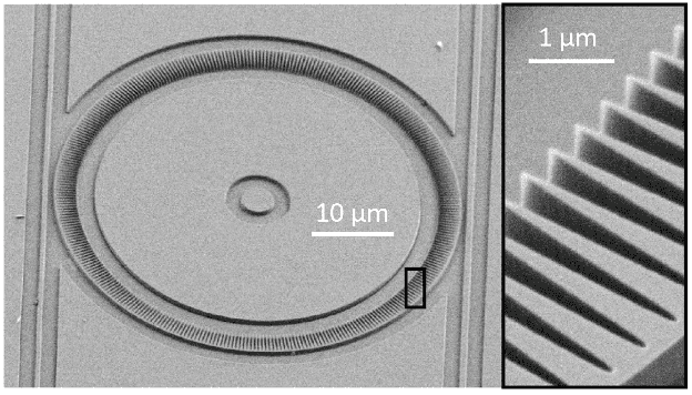 a grayscale scanning electron microscope image of a new kind of photonic device used for trapping light