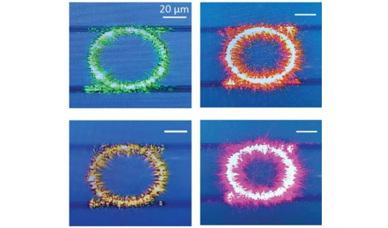 Optical parametric oscilation
