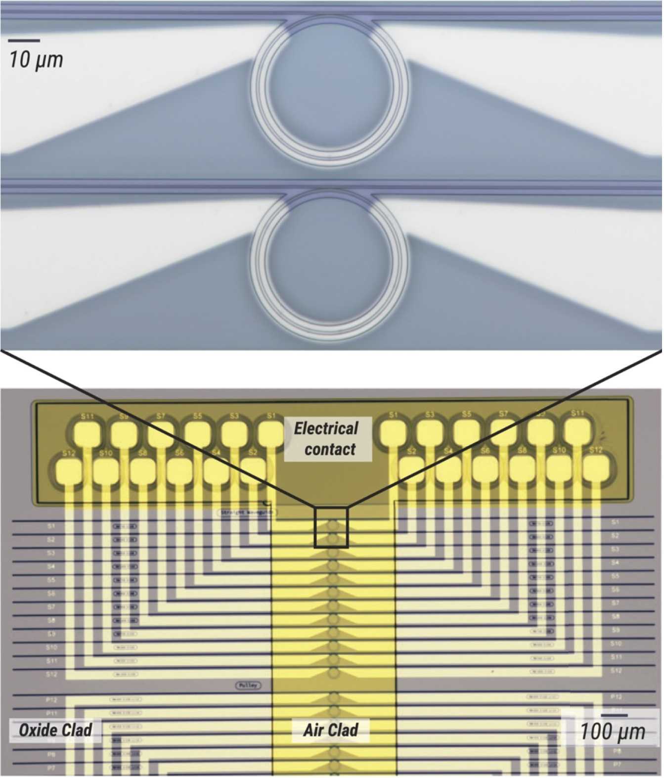 Pictures from an optical microscope showing metallic heaters underneath microring resonators.